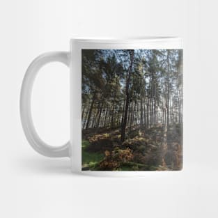 Light Through the Trees Mug